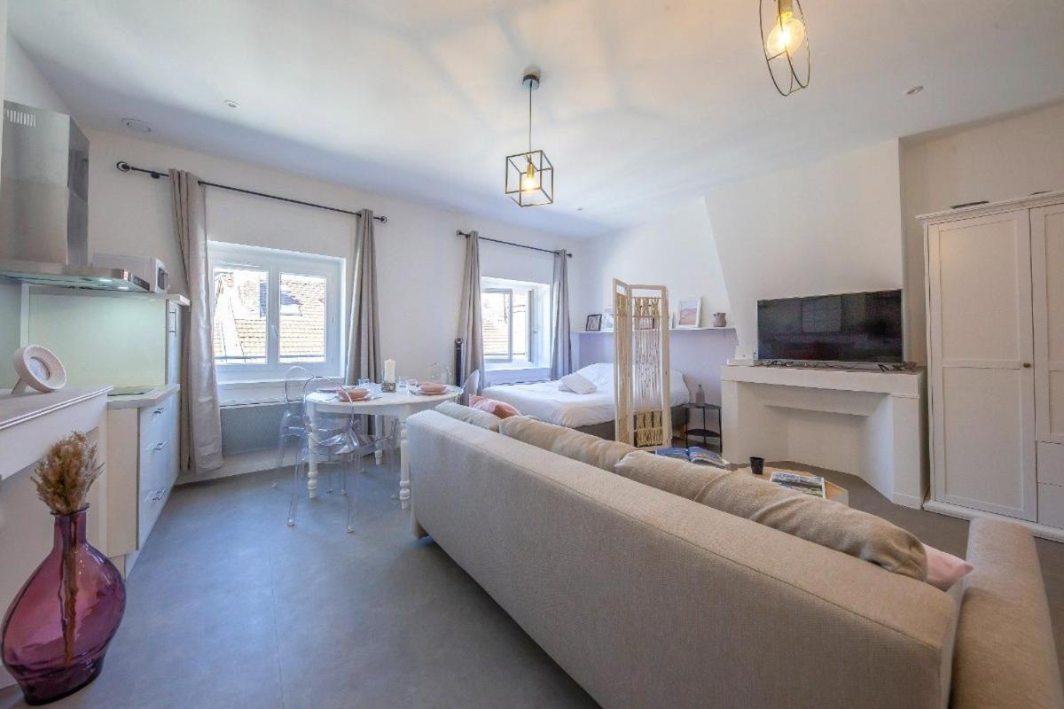 Appartamento Le Rendezvous Cocooning Des Grenoblois Grenoble Esterno foto